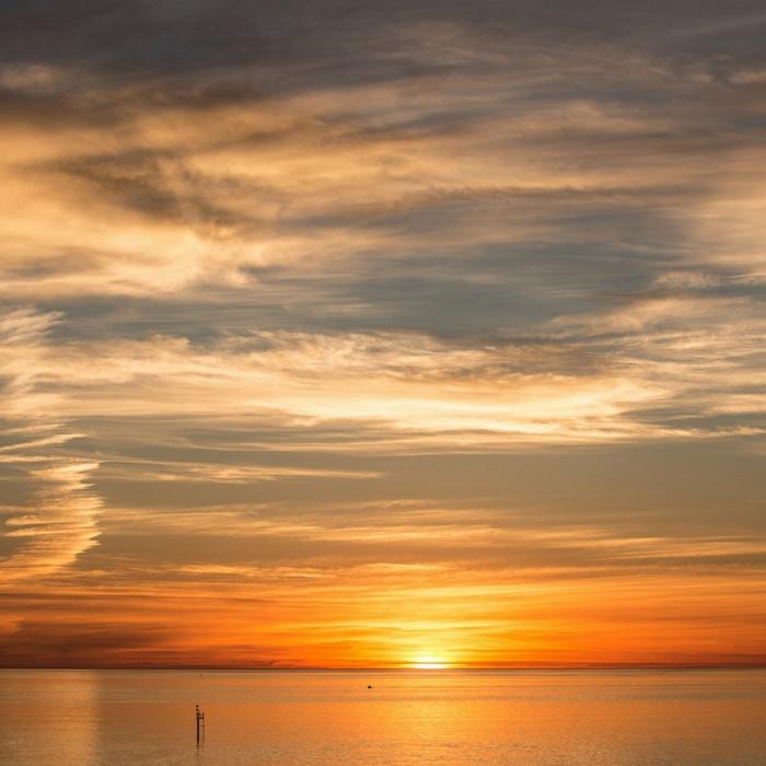 See Adelaide & Beyond McLaren Vale & Glenelg Afternoon Tour