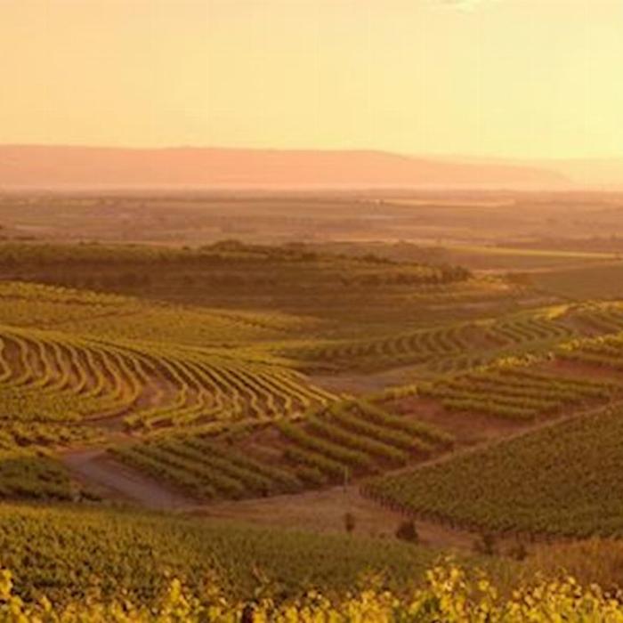 See Adelaide & Beyond McLaren Vale & Glenelg Afternoon Tour
