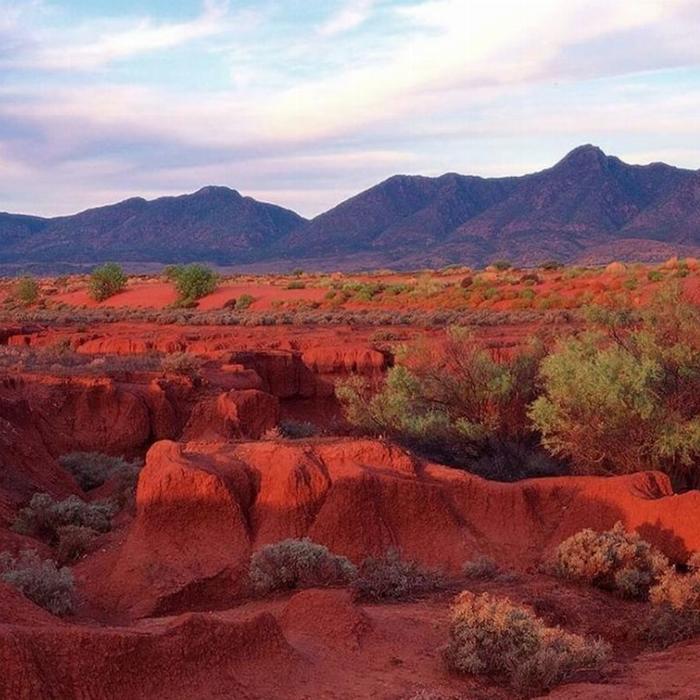 SA Eco Tours 3-Day Flinders Ranges & Outback Small Group Eco Safari - Standard Motel Unit, Double/Twin Share (Single)