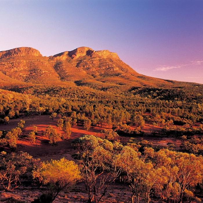 SA Eco Tours Lake Eyre & Flinders Ranges Small Group 4WD Eco Safari - Standard Motel Unit, Double/Twin Share (Single)