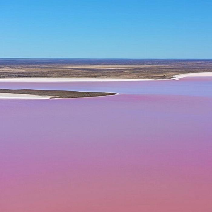 SA Eco Tours Lake Eyre & Flinders Ranges Small Group 4WD Eco Safari - Standard Motel Unit, Single (Single)