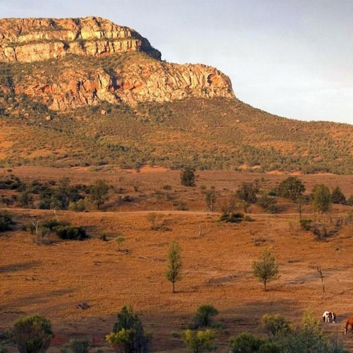 SA Eco Tours 3-Day Flinders Ranges & Outback Small Group Eco Safari - Superior Motel Unit, Double/Twin Share (Single)