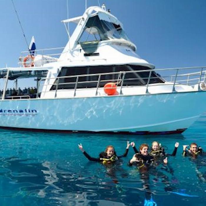 Adrenalin Dive Great Barrier Reef Day Trip (Certified Diver)