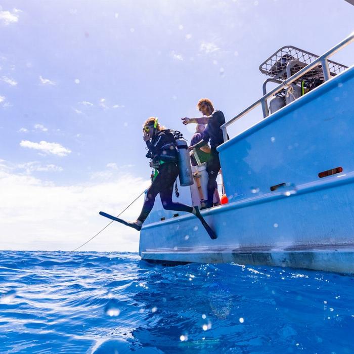 Adrenalin Dive Great Barrier Reef Day Trip (Certified Diver)