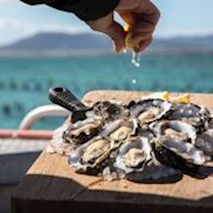Experience Coffin Bay Oyster Farm and Bay Tour