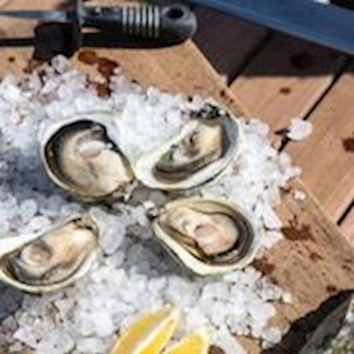 Experience Coffin Bay Short and Sweet Oyster Farm Tour