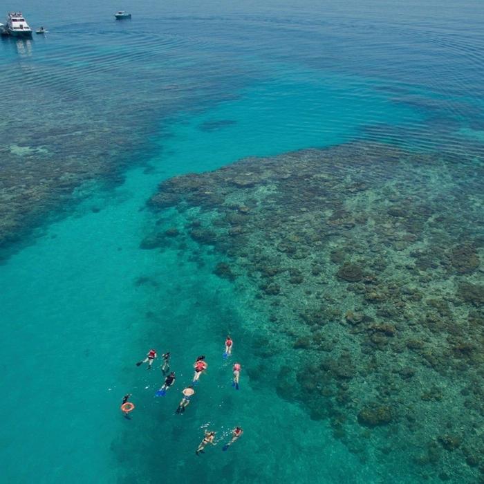 Cairns Premier Ocean Freedom Cruise to Upolu Cay Reef & Outer Edge Upolu Reef