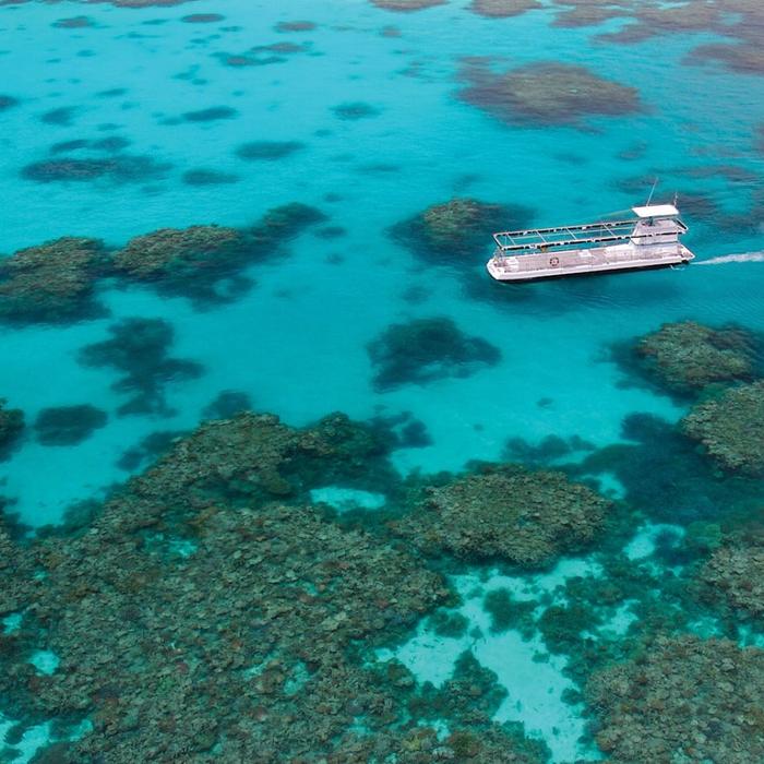 Quicksilver Cruises Quicksilver Agincourt Reef Pontoon Tour