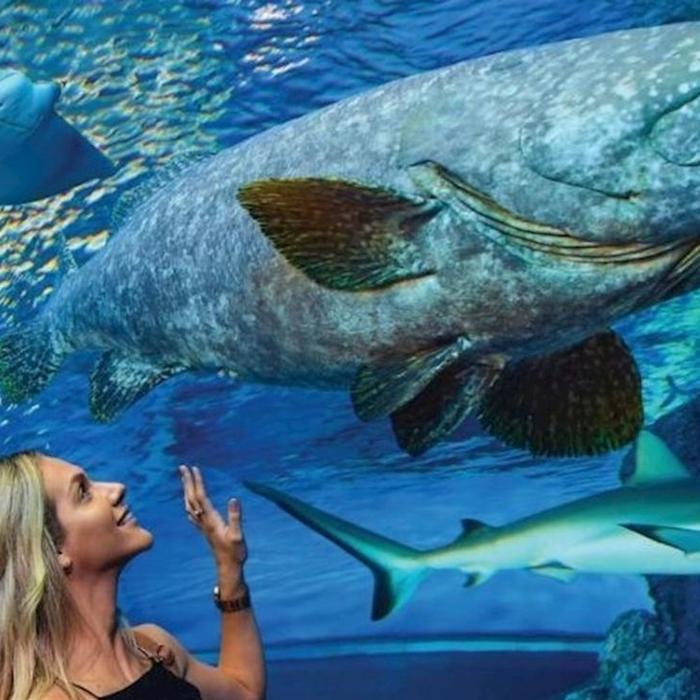 Cairns Aquarium General Admission (Family)