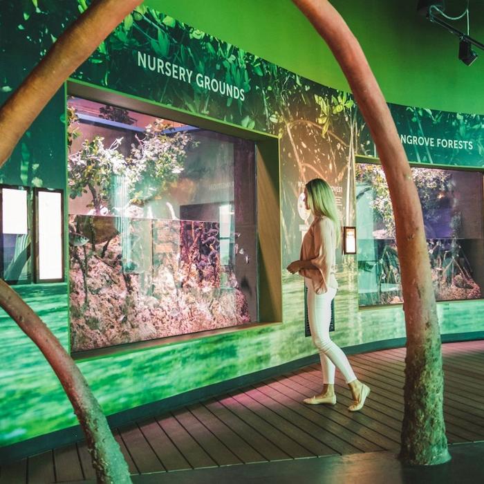 Cairns Aquarium General Admission (Family)