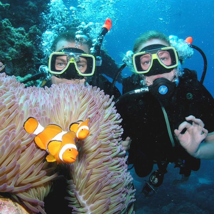 Pro Dive Cairns Divemaster Course