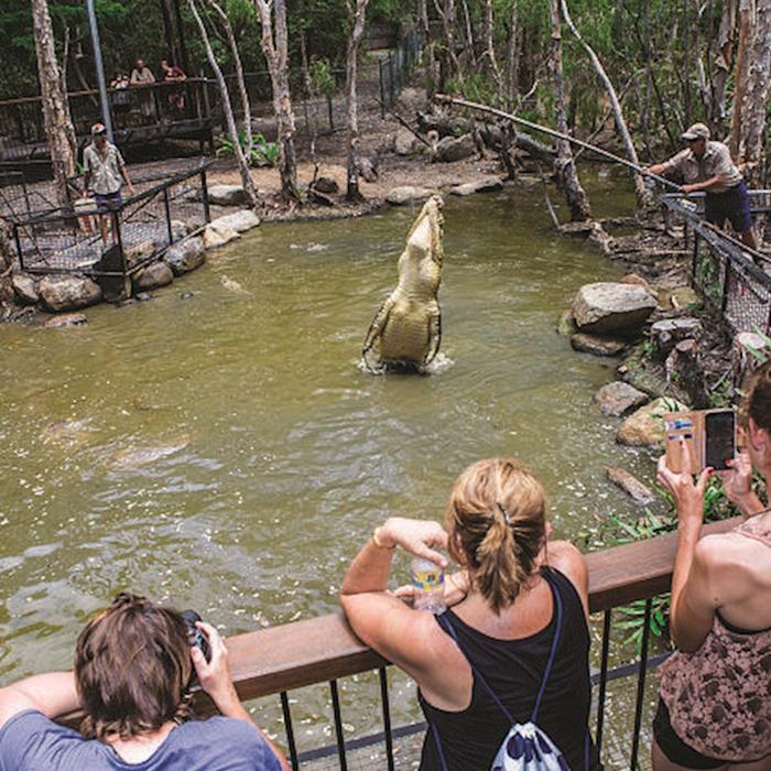 Hartley's Crocodile Adventures Park Entry (No Transfers) - Family Rate price per person