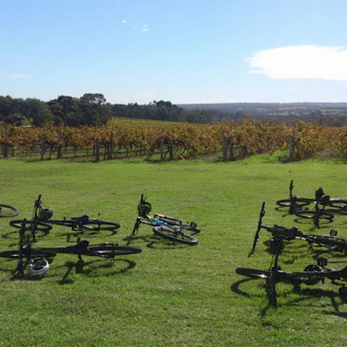 Escapegoat Adventures McLaren Vale Bike & Wine Tour