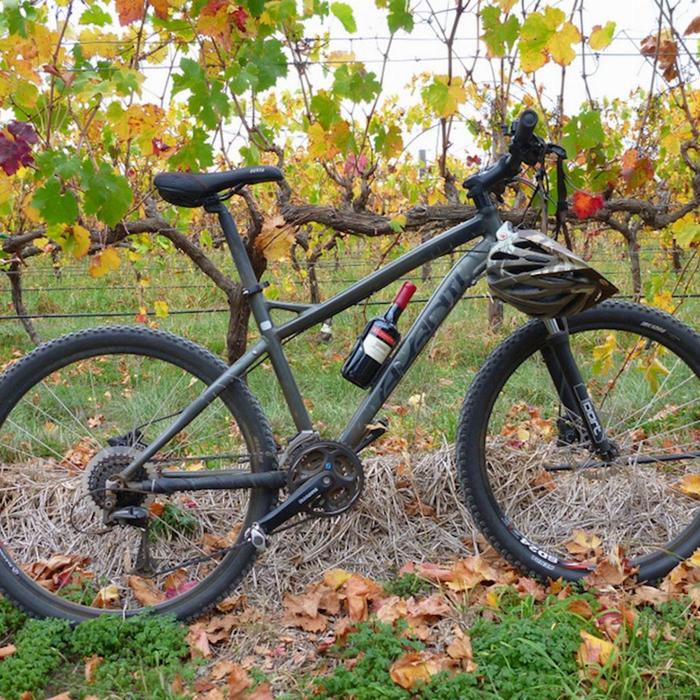 Escapegoat Adventures McLaren Vale Bike & Wine Tour