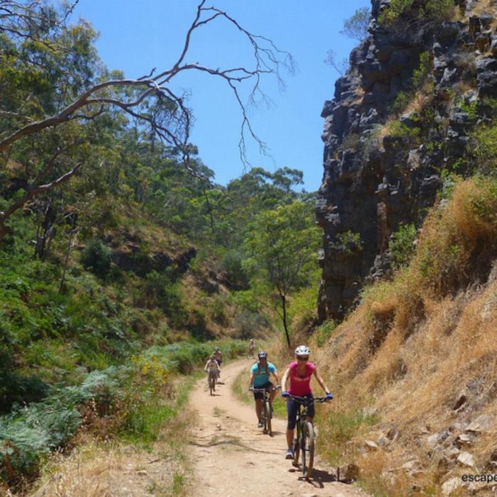 Escapegoat Adventures Lofty Descents by Bike
