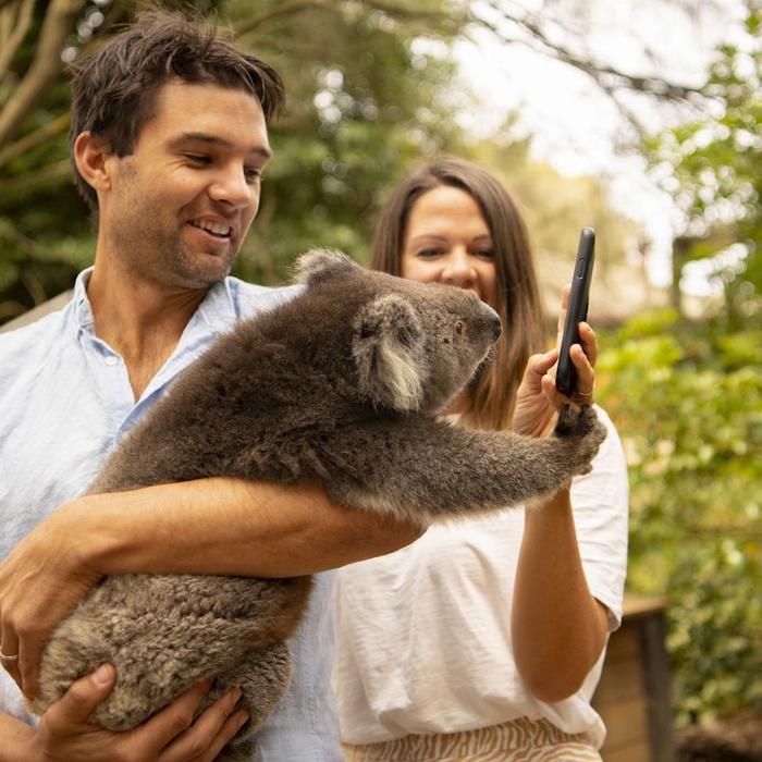 Sealink SA Kangaroo Island Experience (On Island)