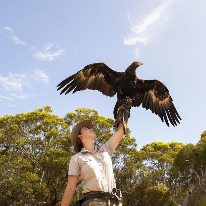 Sealink SA Kangaroo Island Sip & See Tour (On Island)