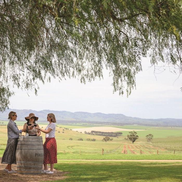 Sealink SA Barossa Food & Wine Experience