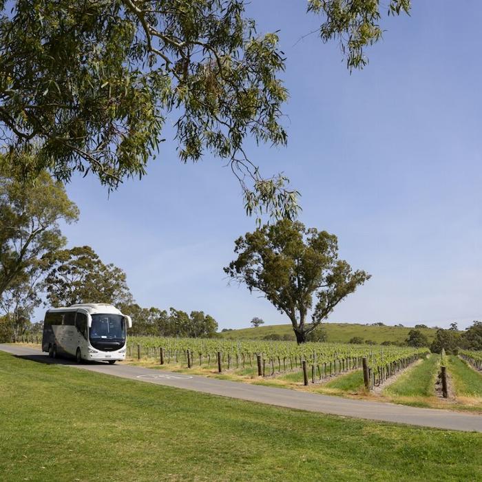 Sealink SA Barossa Food & Wine Experience