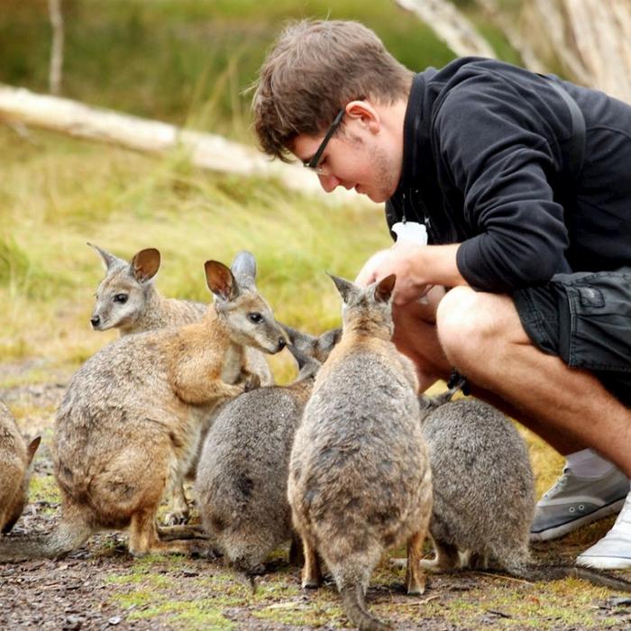 Go West Tours Phillip Island Penguin Parade Small Group Eco Tour