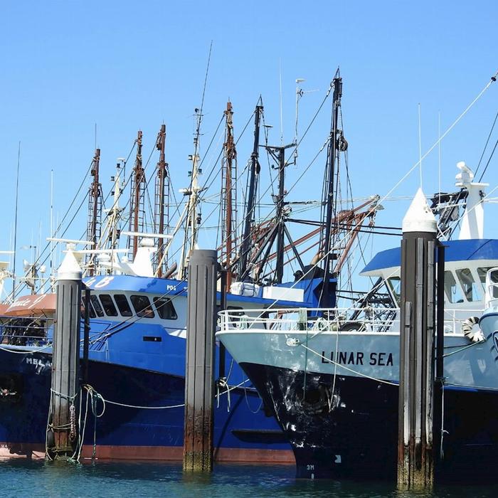 Untamed Escapes Port Lincoln Tour