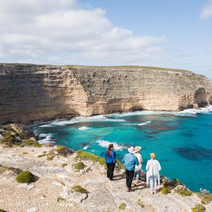 Untamed Escapes Port Lincoln Tour