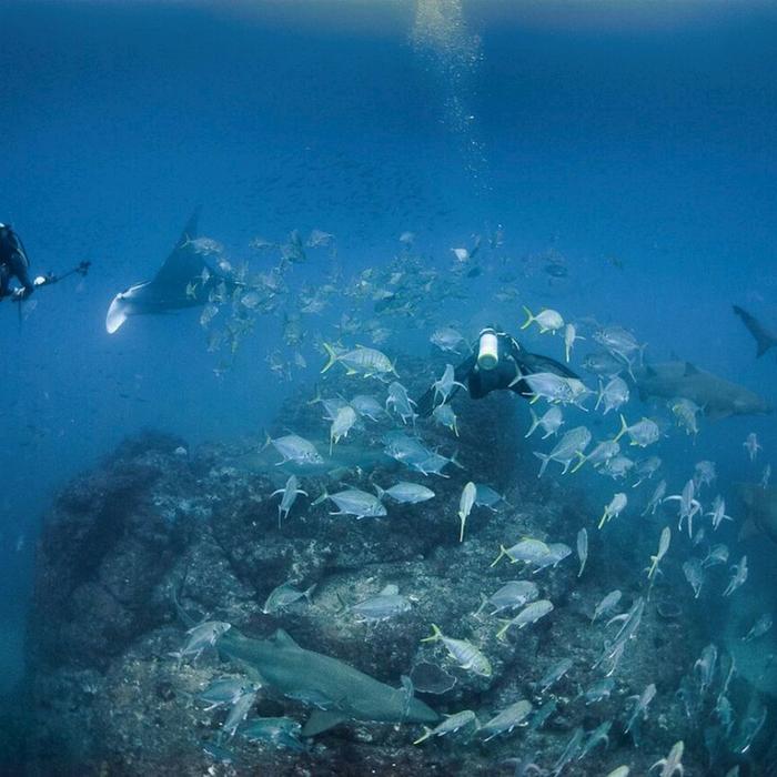 Wolf Rock Dive Double Dive Charter for Open Water Divers