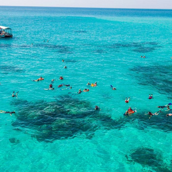 Cairns Premier Ocean Freedom Cruise to Upolu Cay Reef & Outer Edge Upolu Reef (Family 2 adults + 2 children)