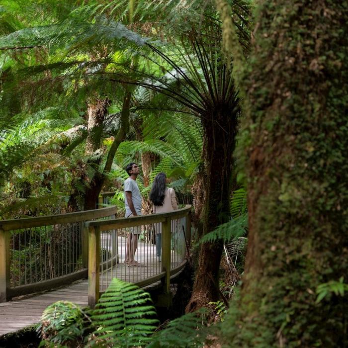 Autopia Tours Adelaide to Melbourne Original Tour (Private Single Ensuite)
