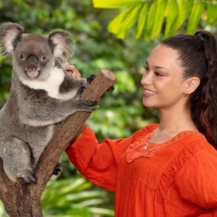 Kuranda Koala Gardens Kuranda Wildlife Experience Package (Family Rate)