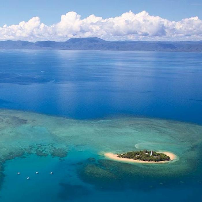 Calypso Snorkel & Dive Calypso Half Day Low Isles - Afternoon
