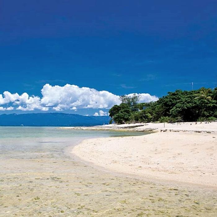 Calypso Snorkel & Dive Calypso Half Day Low Isles - Afternoon