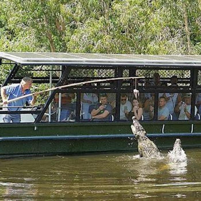 Hartley's Crocodile Adventures Entry with Return Transfers ex Port Douglas