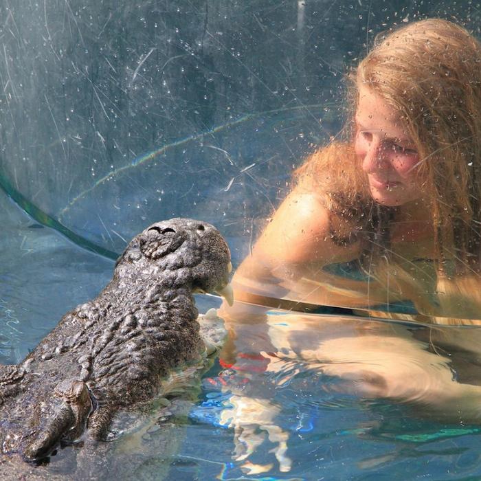 Crocosaurus Cove Cage of Death (1 Person in Cage)