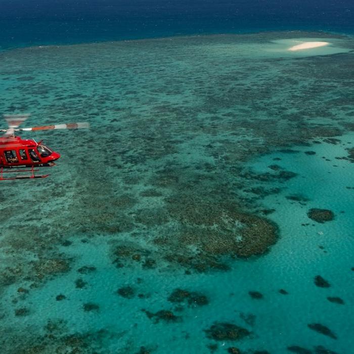 Nautilus Aviation 45 Minute Reef & Rainforest Scenic Flight - Ex Cairns