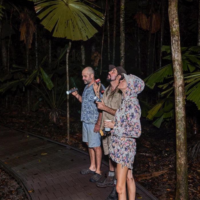 Far North Escapes Daintree Rainforest Guided Night Tour