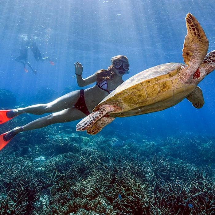 Reef Magic Pontoon + Guided Snorkel Tour/Safari - ex Cairns