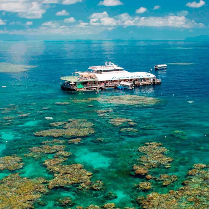 Reef Magic Pontoon + Diving Options