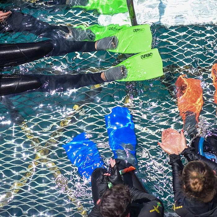 Reef Magic Pontoon Snorkelling