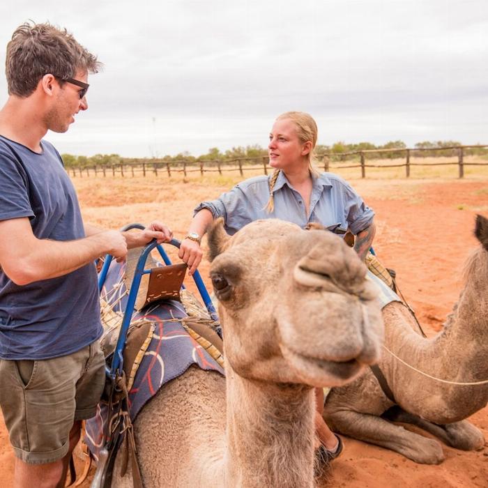 Adventure Tours (ATA) Uluru Tour with Kata Tjuta & Kings Canyon - Eco Tent (Yulara to Alice Springs) (formerly Uluru Adventure)