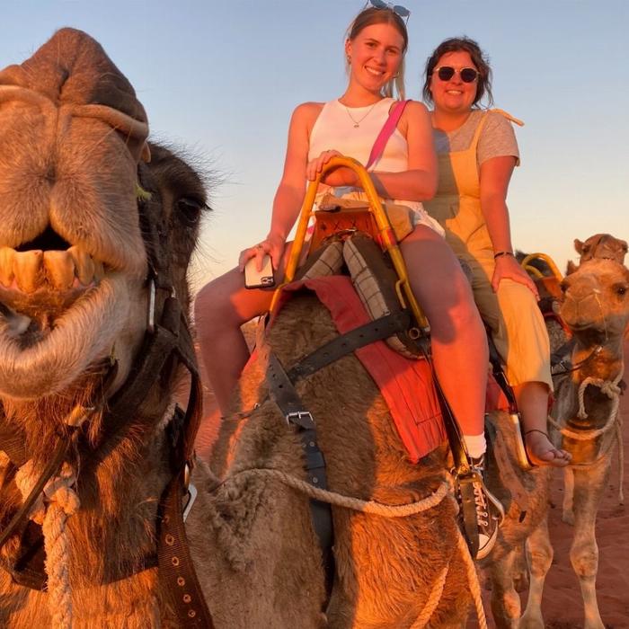 Uluru Camel Tours Sunset Camel Experience