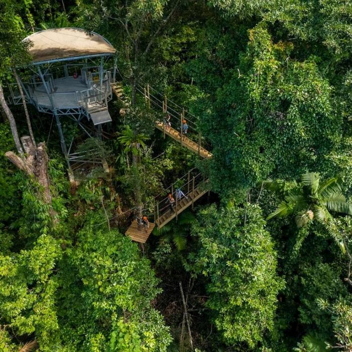 Treetops Adventure Cape Tribulation Zipline Tour