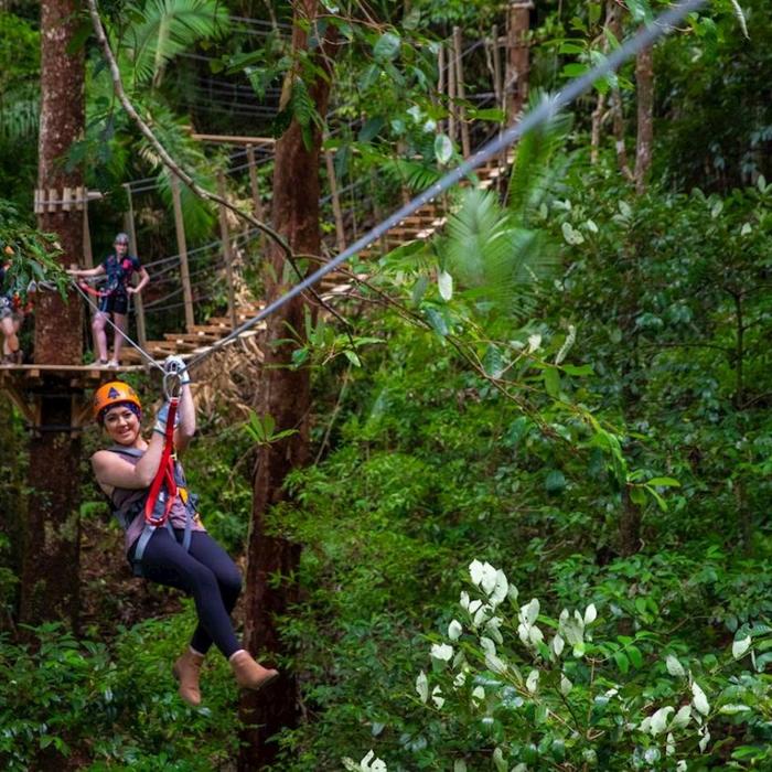 Treetops Adventure Cape Tribulation Zipline Tour