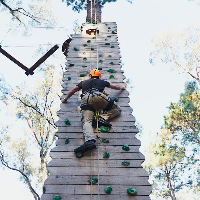 Forest Adventures South West Forest Adventures Park Entry