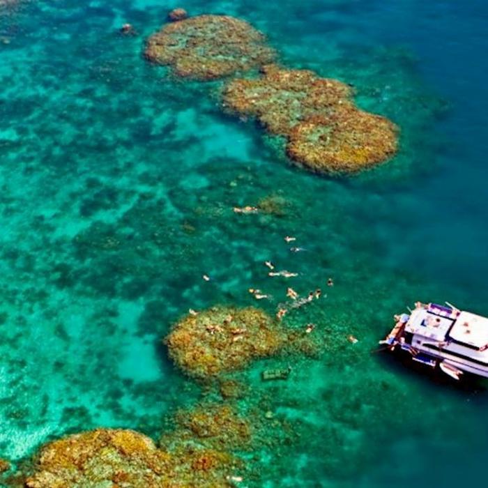 Outer Barrier Reef Day Trip - Reef Experience