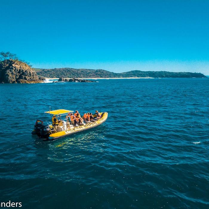 Noosa Ocean Rider Noosa Ocean Tour & Dolphin Safari