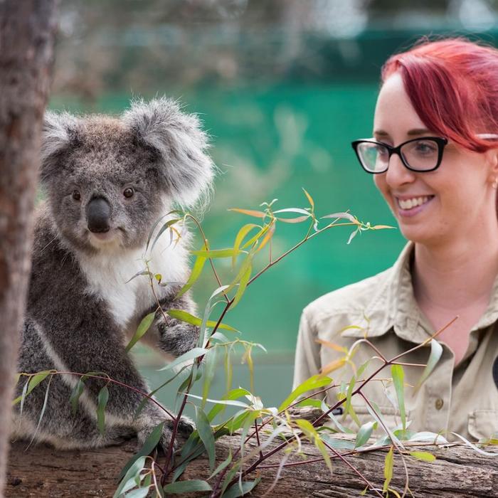 Explore Australia Penguins & Wildlife Nature Experience