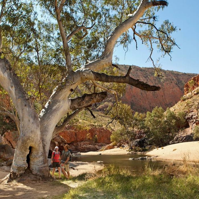 Autopia Tours Uluru, Kings Canyon & West MacDonnell - 4WD Eco Tent Adventure (from Yulara / ends Alice Springs)