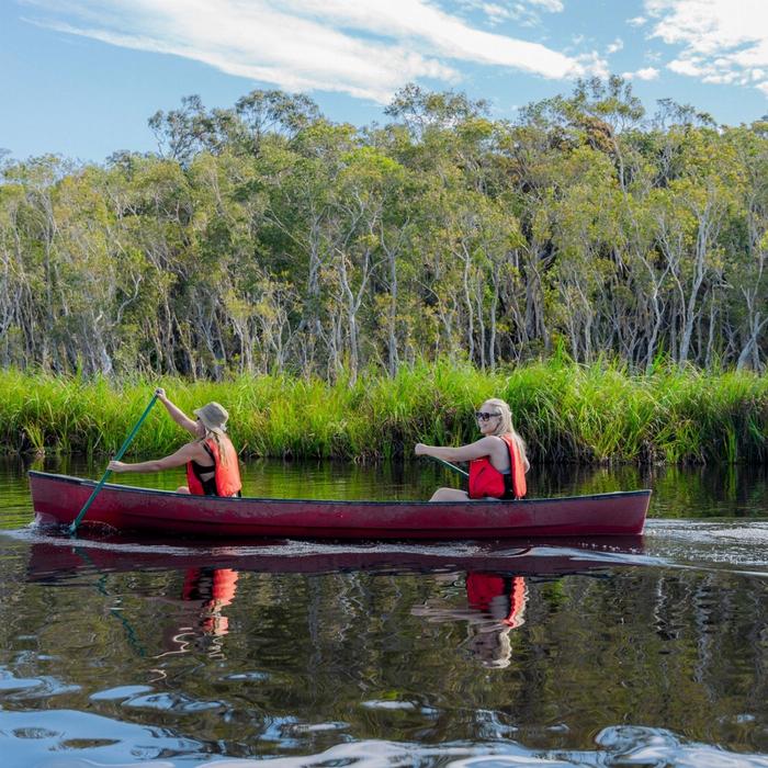 Everglades Eco Safaris Everglades Explorer Tour