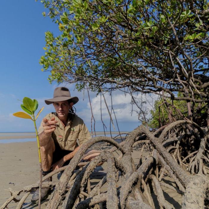 Far North Escapes Half Day 4WD Daintree Tour